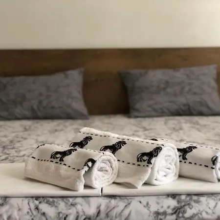 Nikola Apartment *
